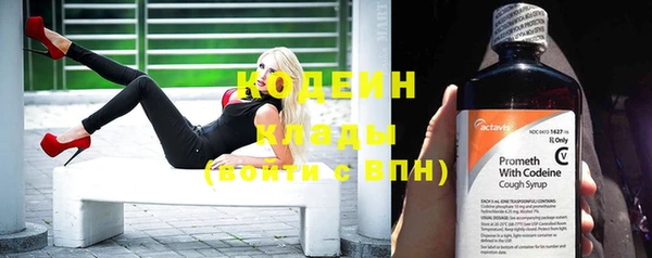 apvp Верея