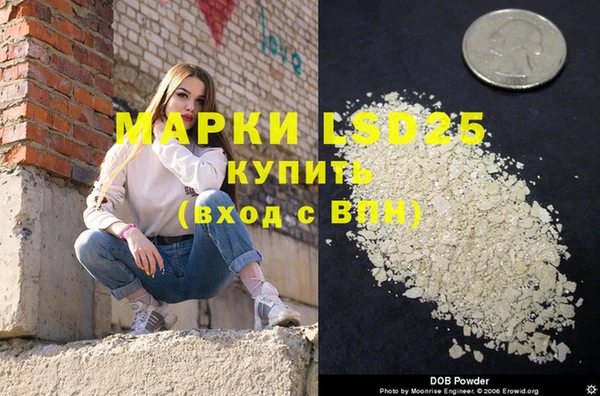 apvp Верея