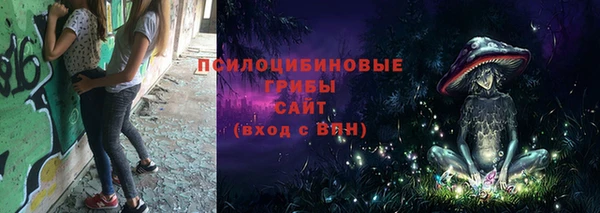 apvp Верея