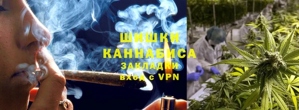 apvp Верея