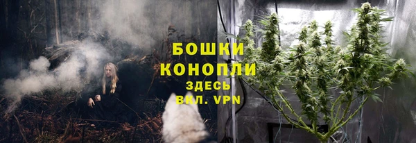apvp Верея