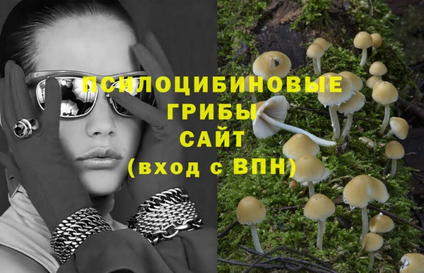 apvp Верея